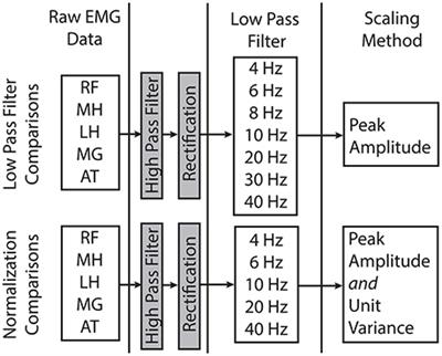 Electromyography Data Processing Impacts Muscle Synergies during Gait for Unimpaired Children and Children with Cerebral Palsy